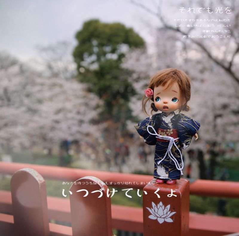 1/8 1/6 1/4 1/3 BJD 日本の着物人形服アク - Japanese Lifestyle Shoes のレビューと価格